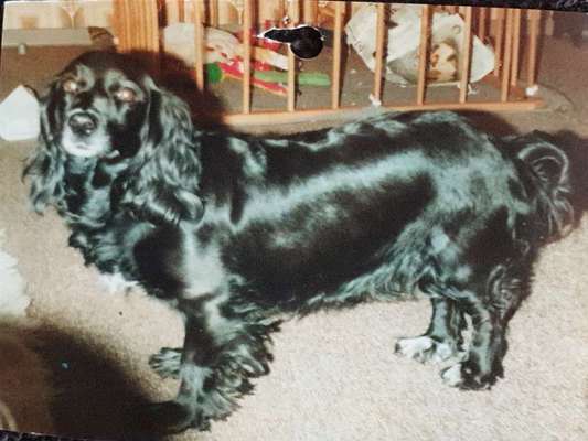 Unsere Sternchen ******-Beitrag-Bild