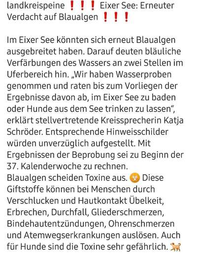 Giftköder-Blaualgenverdacht Eixer See!-Bild