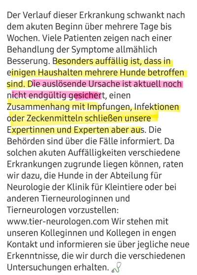 “Warnung vor Hundeknochen? Neurologische Krankheit im Umlauf?”-Beitrag-Bild