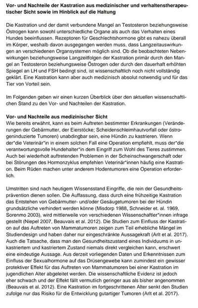 Vorsorgeultraschall bei Hündin wegen Gebärmutterentzündung-Beitrag-Bild