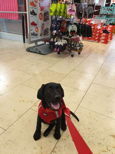 Impulskontrolle Challenge Nr.: 7
         "Gesellschaftsfähig"-Beitrag-Bild