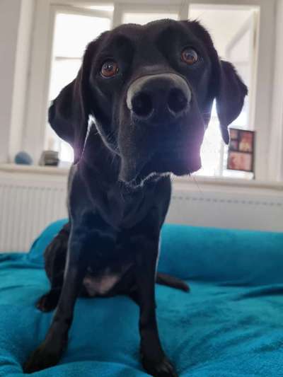 "Die eingefangene Magie des Augenblicks"-Beitrag-Bild