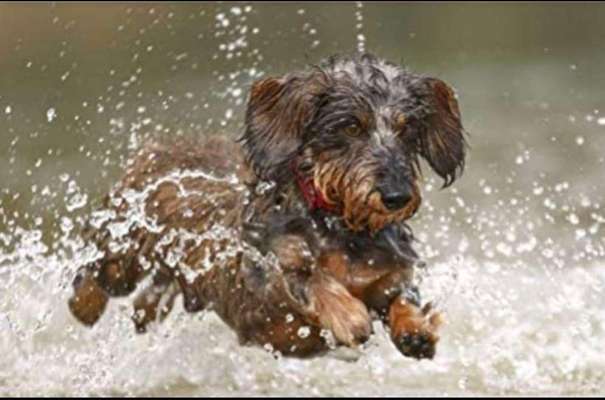 Foto Challenge Nr.133-Beitrag-Bild