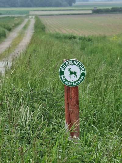 Leinenpflicht während Brut und Setzzeit-Beitrag-Bild