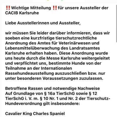 Qualzucht - Warum Aufklärung alleine nicht reicht-Beitrag-Bild