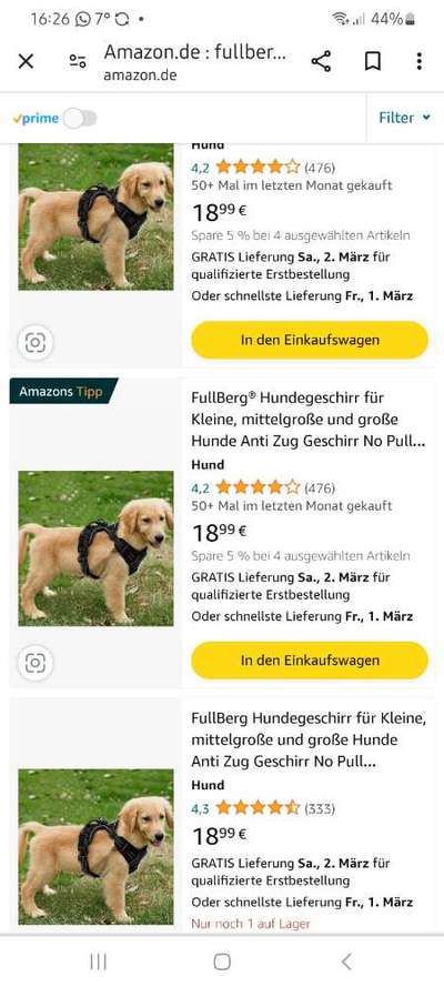 Hund akzeptiert Geschirr nicht-Beitrag-Bild