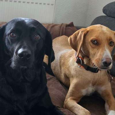 Was hat euch heute gefreut?-Beitrag-Bild