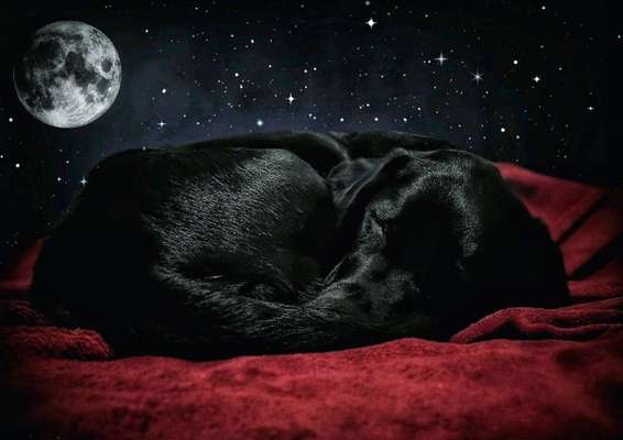 Photoshop und Co.-Beitrag-Bild