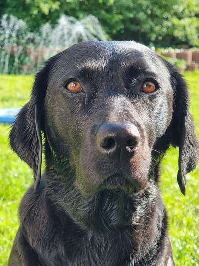 Abkühlung durch abduschen?-Beitrag-Bild