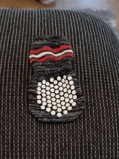 Stich Pfote. Socken gegen lecken.-Beitrag-Bild