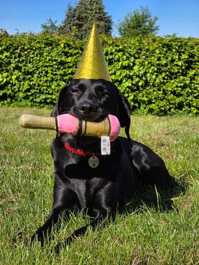 Was hat euch heute gefreut?-Beitrag-Bild