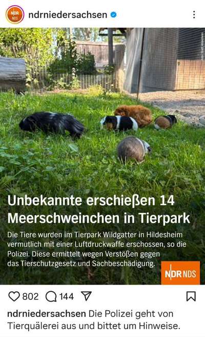 Was hat euch heute genervt?-Beitrag-Bild