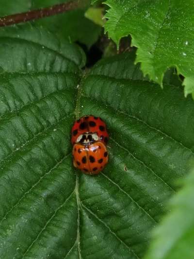 Was hat euch heute gefreut?-Beitrag-Bild