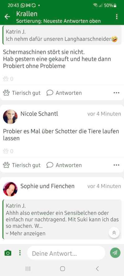 Krallen-Beitrag-Bild