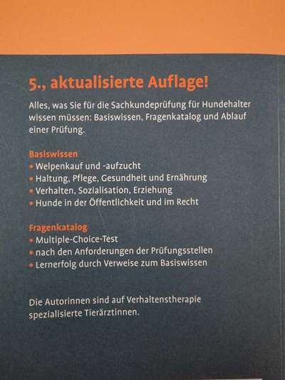 American Bully – Neue Einstufung als gefährlicher Hund in Braunschweig-Beitrag-Bild