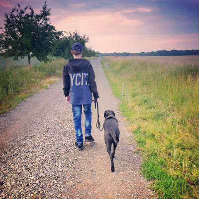 Glücksmomente-Beitrag-Bild