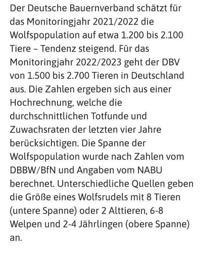 Wolfsbegegnung-Beitrag-Bild