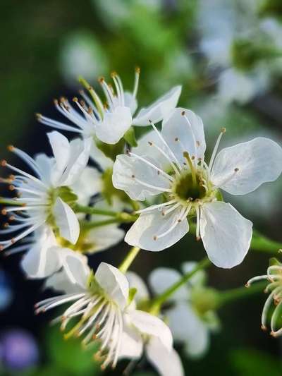 Die wunderschöne Welt mit Hund.-Beitrag-Bild