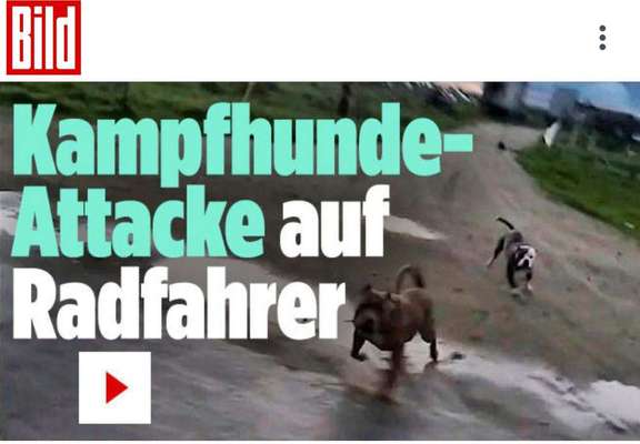 Was hat euch heute genervt?-Beitrag-Bild