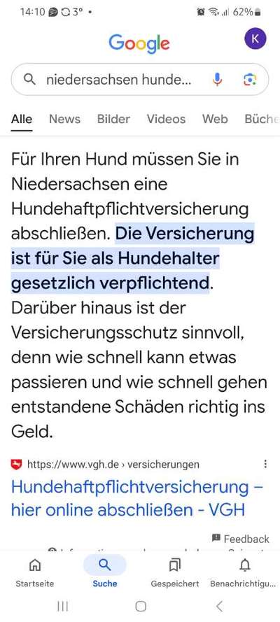 Immer mehr verhaltenauffällige Hunde-Beitrag-Bild