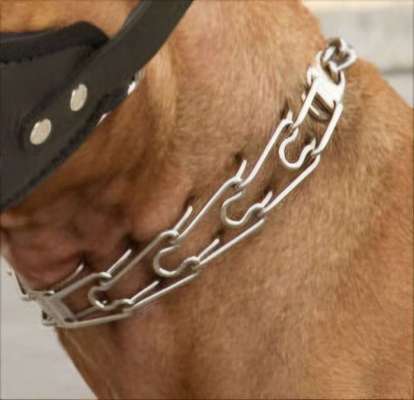 Hunde an die Leine-Beitrag-Bild