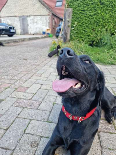 Erfolgsgeschichten gesucht-Beitrag-Bild