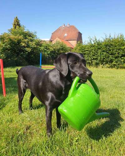 Fotochallenge 129-Beitrag-Bild