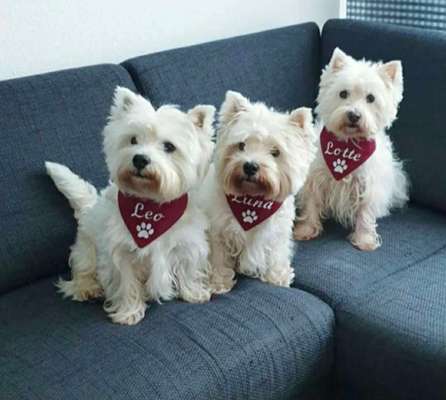 Fotochallenge 130-Beitrag-Bild