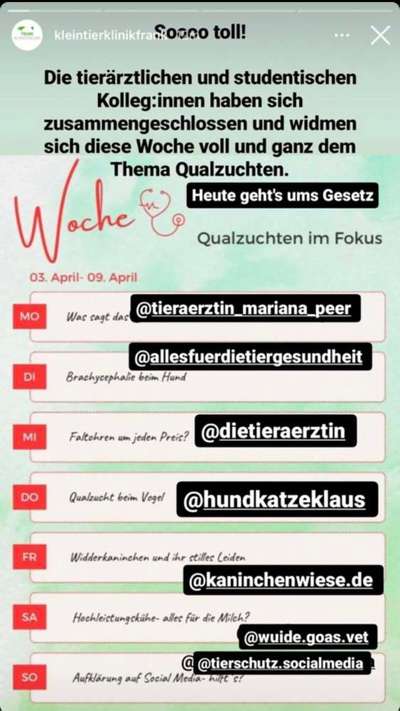 Brachycephale Hunderassen-Beitrag-Bild