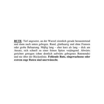 Qualzucht-Verbot bei der Welthundeausstellung in Österreich?-Beitrag-Bild