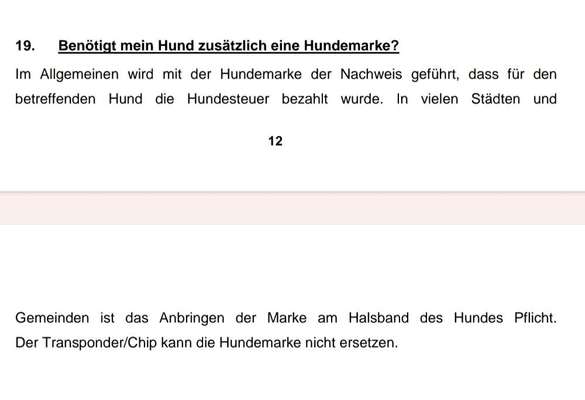 Ohne Halsband, ohne Geschirr-Beitrag-Bild