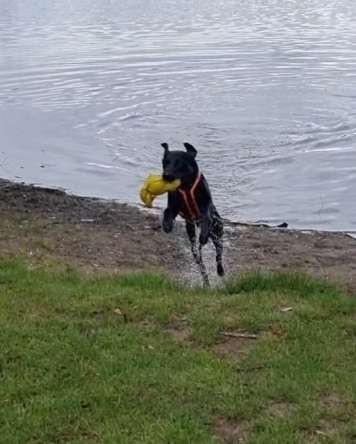 Un...scharf Bilder-Beitrag-Bild