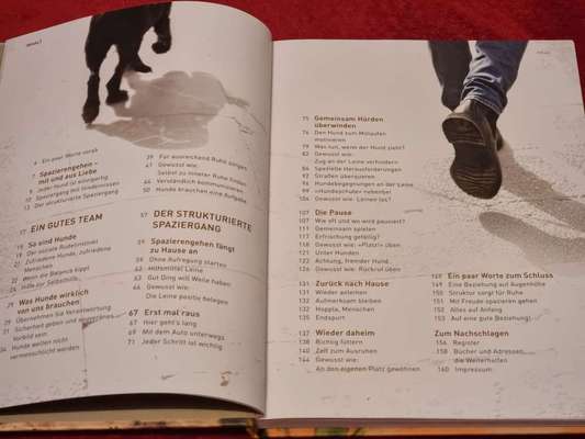 Literatur und Methoden José Arce-Beitrag-Bild