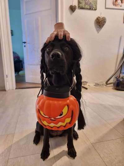 Was hat euch heute genervt?-Beitrag-Bild