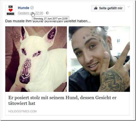 🤬😳Hundepiercings – Warum tut man sowas?!-Beitrag-Bild