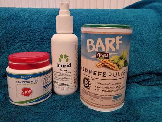 Ungezieferhalsbänder-Beitrag-Bild