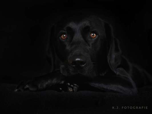 Austausch zur Fotografie-Beitrag-Bild