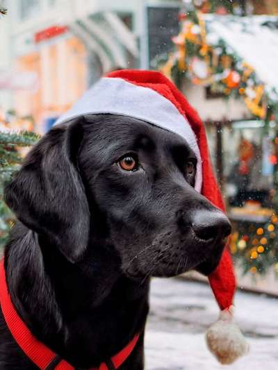 It's beginning to look a lot like.....-Beitrag-Bild