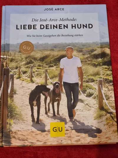 Literatur und Methoden José Arce-Beitrag-Bild