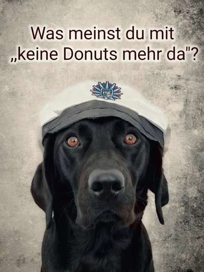 Dogorama Photo Challenge - Berufswahl-Beitrag-Bild