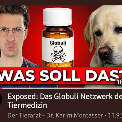 Homöopathie -Arznei oder bloß Zucker für die Seele?-Beitrag-Bild
