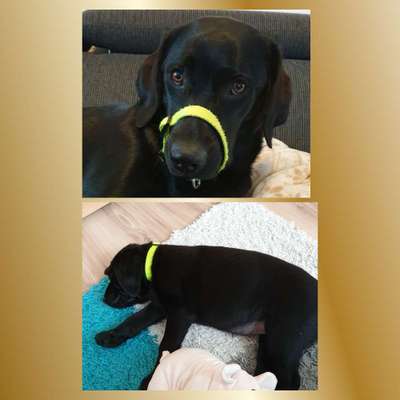 Ach, wie schnell die Zeit vergeht-Beitrag-Bild