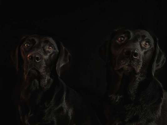 Ton in Ton-Beitrag-Bild