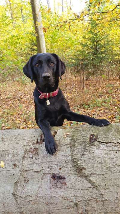 Zeigt mir eure Lieblingsfotos ♡♡-Beitrag-Bild