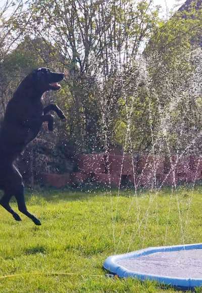 Was hat euch heute gefreut?-Beitrag-Bild