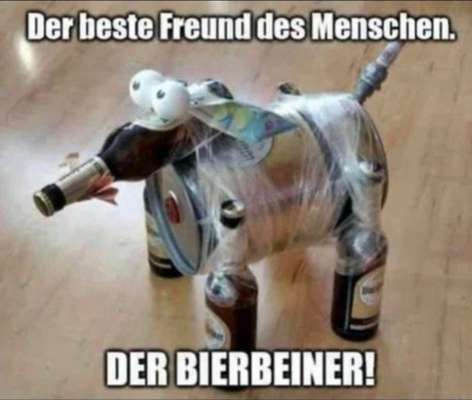 Welcher Hundehalter Typ bist du?-Beitrag-Bild