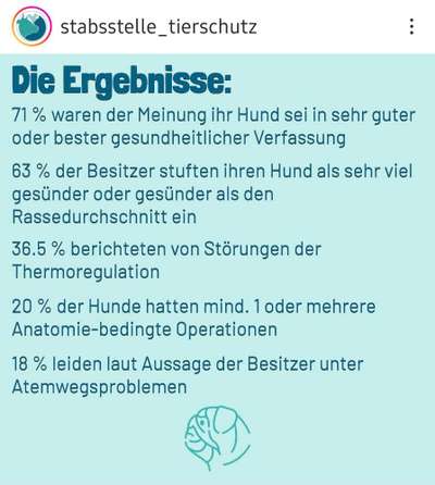 Qualzucht - Warum Aufklärung alleine nicht reicht-Beitrag-Bild