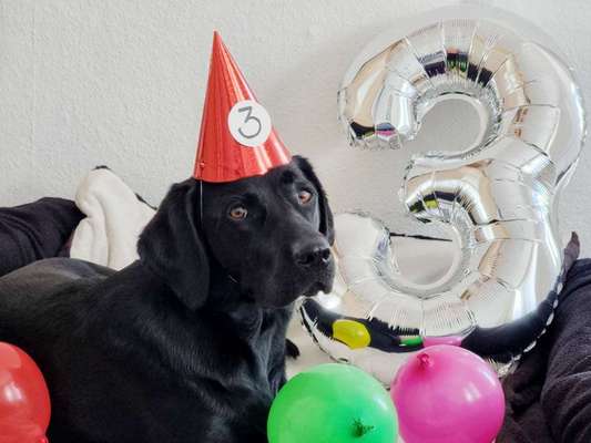 Bright side of life! Schönwetter-Thread-Beitrag-Bild