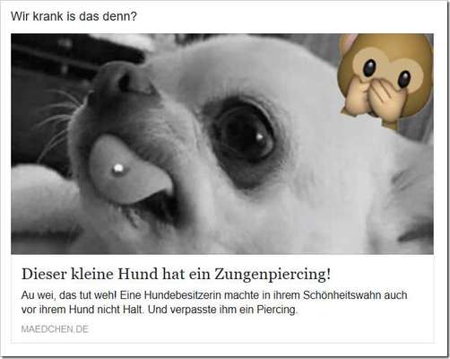 🤬😳Hundepiercings – Warum tut man sowas?!-Beitrag-Bild