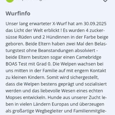 Qualzucht - Warum Aufklärung alleine nicht reicht-Beitrag-Bild